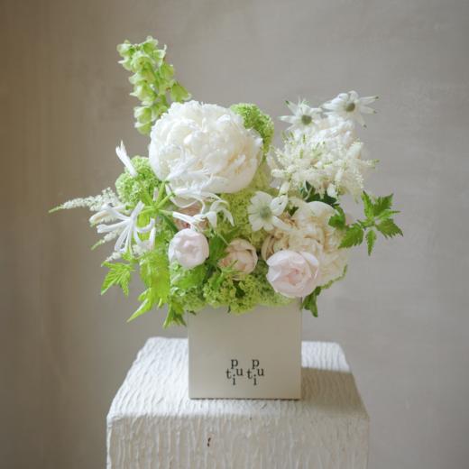 微漾回眸 Gaze 商品图4