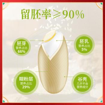 京贡1号胚芽米3斤 粥米 留胚率≥90% 东北大米保留胚芽  含胚芽粳米 粗粮 /粮油调味 /米 /胚芽米 商品图4
