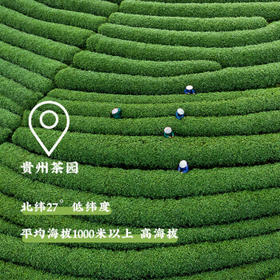 百钻净禅翠抹茶粉1.5g*10袋 家用冲饮奶茶配料便携独立小条装烘焙原料 /粮油调味 /烘焙原料 /烘焙粉