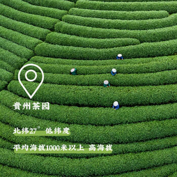 百钻净禅翠抹茶粉1.5g*10袋 家用冲饮奶茶配料便携独立小条装烘焙原料 /粮油调味 /烘焙原料 /烘焙粉 商品图0