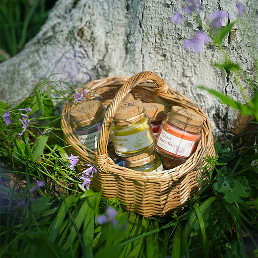 AL美通香薰田园系列香薰蜡烛 商品图1