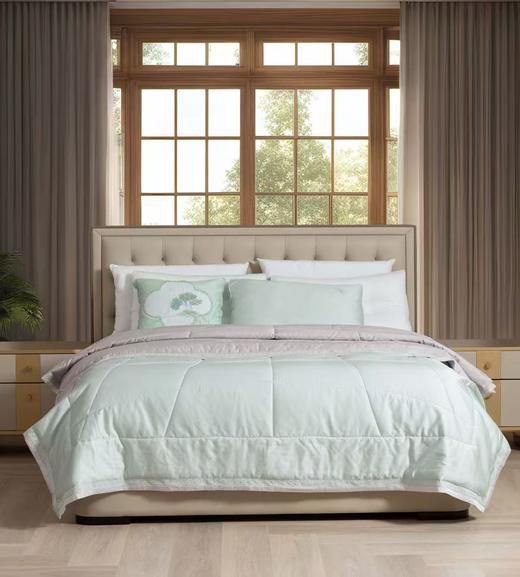 【6楼】富安娜莱赛尔棉水洗双宫桑蚕丝夏被\素锦时光 商品图0