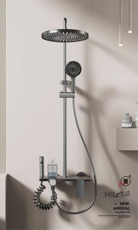 水镀枪灰四功能大花洒 5924