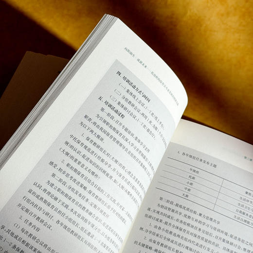 向阳而生 成就未来 托幼机构保育员专业发展的创新实践 许敏霞 商品图13