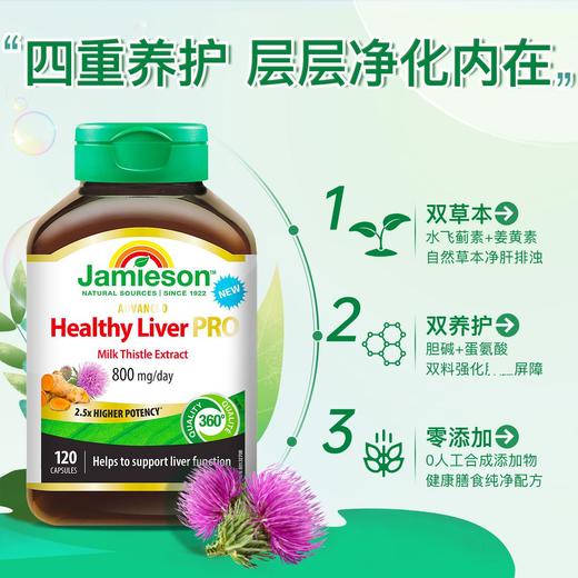 【品牌发货】健美生高浓缩奶蓟姜黄护肝片 120片 商品图1