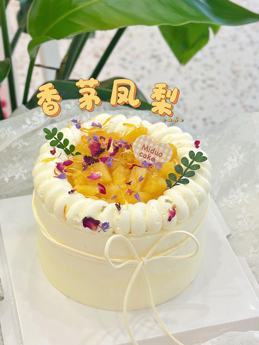 5"香茅凤梨 商品图0