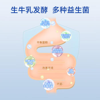 和润 双歧益生菌酸奶发酵乳 蓝莓果粒 235g*6瓶*1盒 风味酸牛奶 商品图3