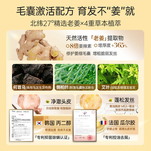 【星品体验💖39元任选3件】儒意生姜洗发水90ml  滋养发根护发控油蓬松去屑止痒洗头露 | 儒意官方商城 商品图4