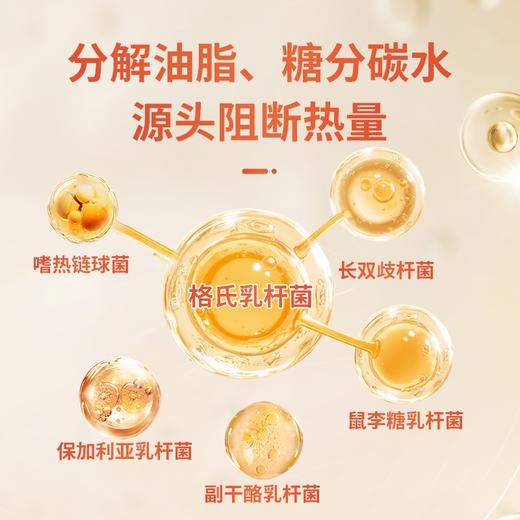 「易胖体质」有救了！1月狂甩20斤 美国纤体益生菌 嗨吃不胖!躺着变瘦 温和不反弹！适合易胖体质/顽固肥胖/嘴馋党！ 商品图3