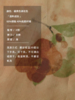 半圆/D23214307/花朵印花假两件吊带连衣裙 商品缩略图3