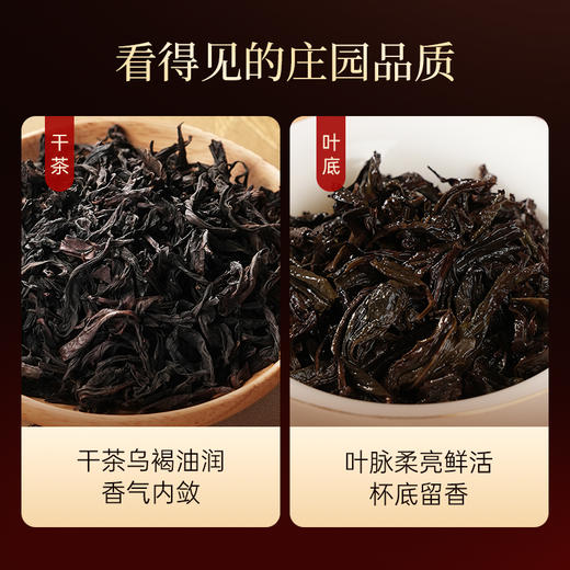 华祥苑-128g星时光果香肉桂 商品图5