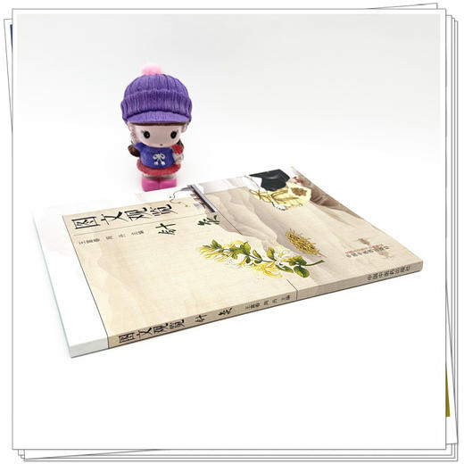 图文观览（针灸）王富春 周丹 主编 中国中医药出版社 中医临床 针灸学 书籍 商品图2