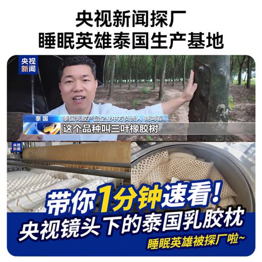 【泰国原装整芯进口】SleepHero红色礼盒高低透气枕 94%天然乳胶含量 55D密度升级护颈 高低波浪支撑 节日可送父母/朋友 商品图5