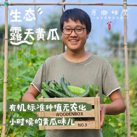 生态露天黄瓜（农场直发-顺丰包邮）| 3斤/5斤装
