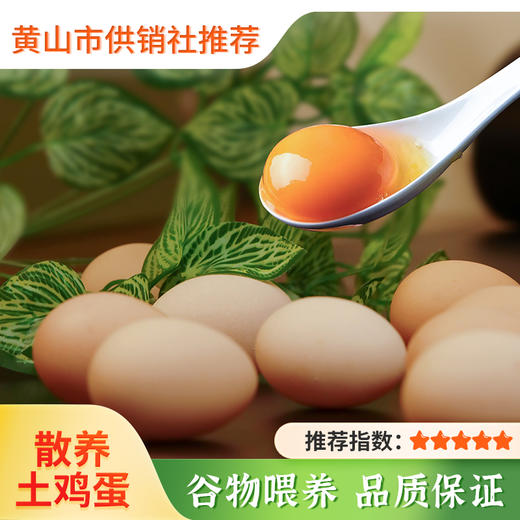 【散养土鸡蛋】农家新鲜散养现捡现发 皖南山林野外土鸡蛋 商品图0