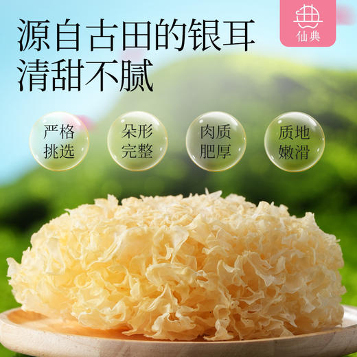 【现货现发】仙典 椰皇水炖桃胶羹 夏季清凉 甜品甜饮 送人佳品 礼盒送人 美味健康 配料干净 商品图3