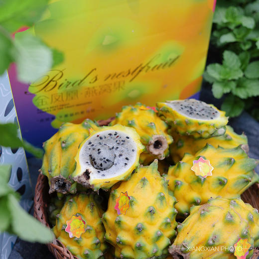 [屁侠推荐]燕窝果 A级精品黄金火龙果 米容/孕妇水果 甜度23度+ 营养丰富 商品图2