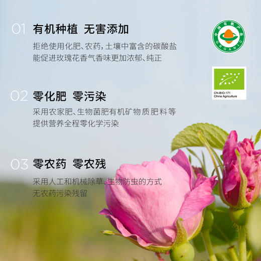 有机玫瑰花冠茶 22g【基地直发】 商品图5