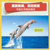 美国国家地理英语分级  精华版 商品缩略图5