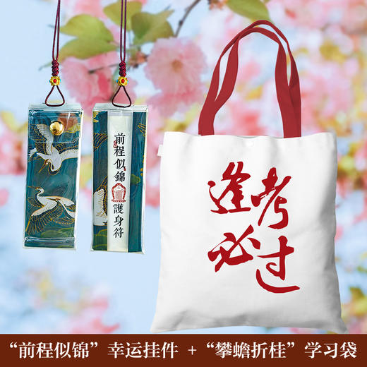 金榜题名：以梦为马 不负韶华 高考加油包 成人礼  高考文创 商品图4