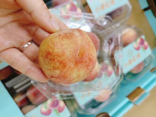 小樱红桃一盒 商品图3