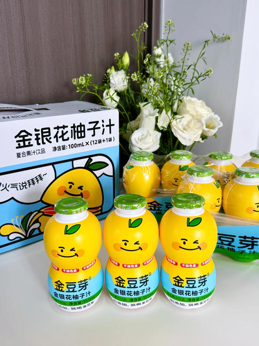 金豆芽【金银花柚子汁】酸酸甜甜不上火！配料表干净，不加香精，不加色素，不加防腐剂！一袋满足一天维C补给 商品图1