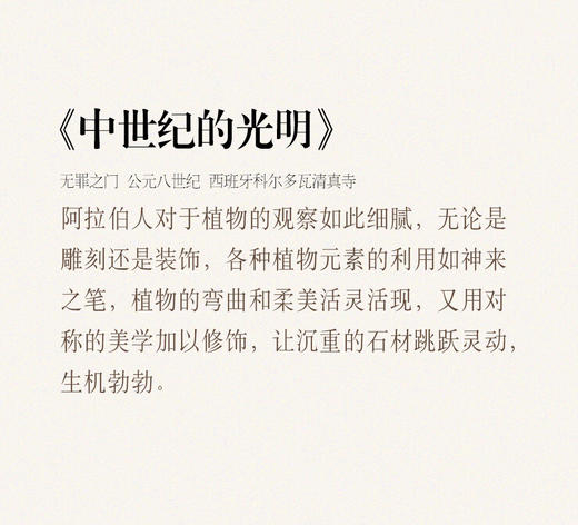 【伯妮斯茵】173S057--黑色连衣裙--中世纪的光明--《宁静之美》 商品图7