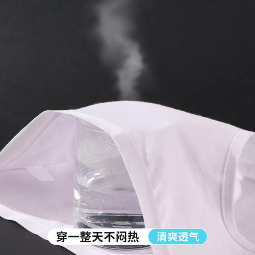 雅黛俪内裤女生纯棉夏季中腰无痕2025新款女士三角短裤头 商品图5