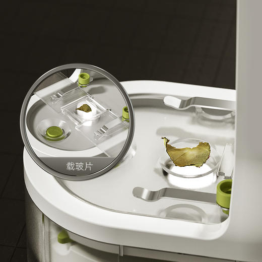 儿童节礼物🎁【智能生物实验台 直面微观万象】科学罐头屏幕显微镜 定格微观动态 共享科学发现 商品图10