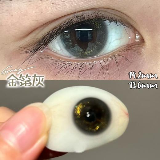 jellydoll 半年抛 金箔灰 直径14.2mm着色13.6mm 商品图5