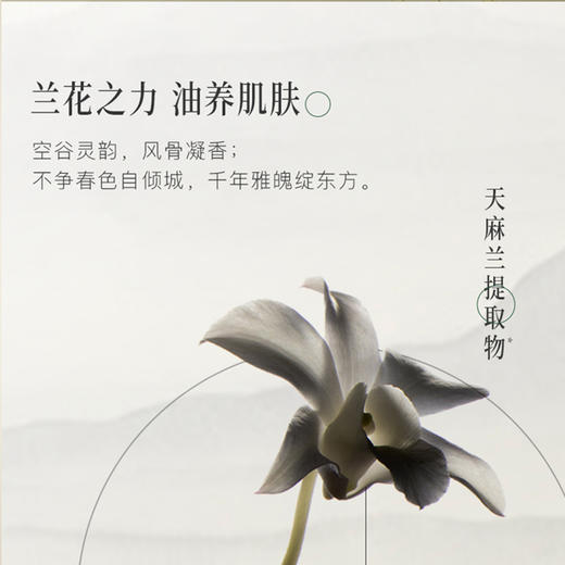 【赠面膜1片】自然之名 御兰精萃油膜5片/盒  A-4940（效期28-2） 商品图7