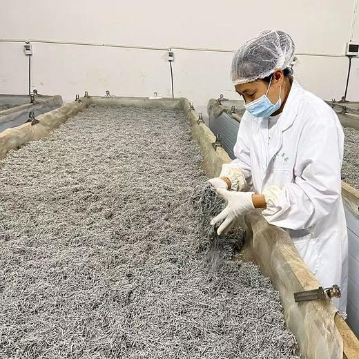 【甄选】湖南张家界莓茶汤色金黄清澈透亮精选鲜嫩茎叶50g/罐 商品图2