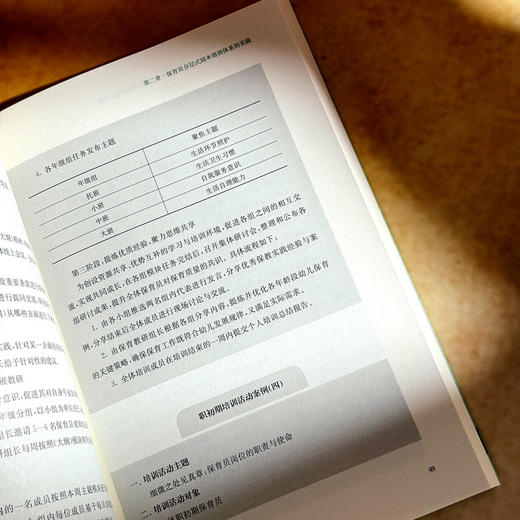 向阳而生 成就未来 托幼机构保育员专业发展的创新实践 许敏霞 商品图12