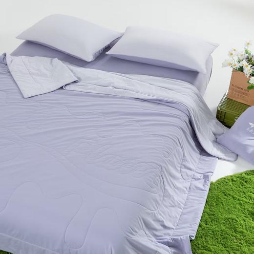 【多样屋专柜】多样屋天丝夏凉被可机洗冰丝被子被芯空调被 商品图5