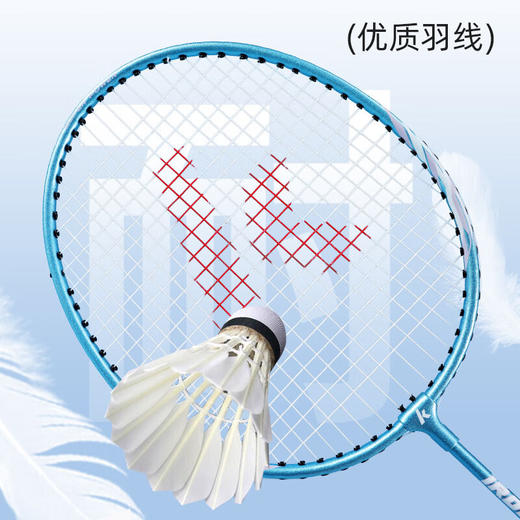 【小家电】川崎羽毛球拍IRON-007（含3只装耐打球） HF 商品图4
