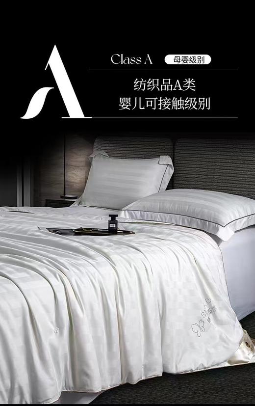 夏日100%蚕丝被（200*230） 商品图1