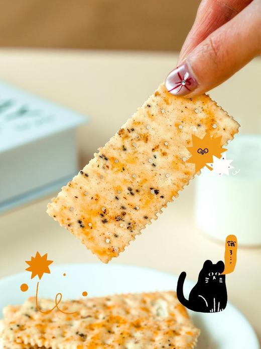 【山姆同款】井呆宰黑松露火腿苏打饼干SS247 商品图4