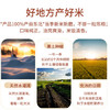 七河源雪晶米20斤 东北大米10kg 2024年新米 一级粳米中秋福利 公司团购 /粮油调味 /米 /珍珠米 商品缩略图3
