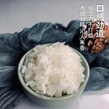 米老板松江大米20斤/袋2024年上市新米松香粳1018软糯香甜清香真空包装 /粮油调味 /米 /其他大米 商品图3