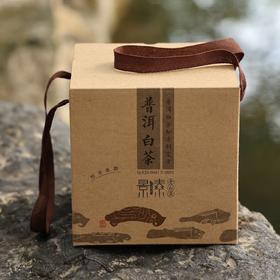 「老白鱼·2024」古树普洱白茶，清雅甜润有活性（250克）