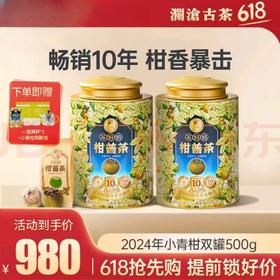 澜沧古茶2024年茶妈妈小青柑 陈皮普洱柑普茶 新会陈皮 云南普洱熟茶双罐组合500g(250g*2)