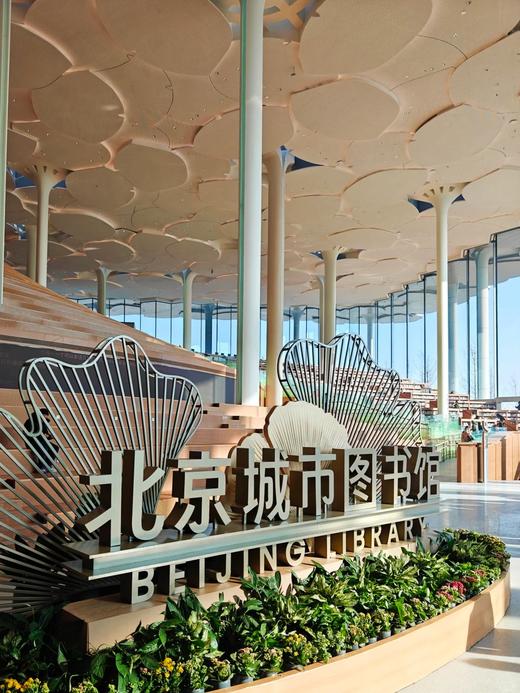 【爱上北京】全天活动之踏浪寻源：运河“船”说漕运的文明密码；书海拾贝：共赴林海书苑的阅读之约 商品图1