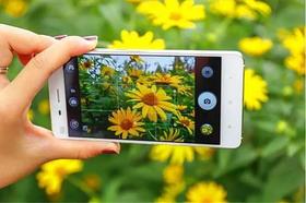  国医元老古方祛湿“法宝”，每天一杯，身体轻松，养好脾胃！ 