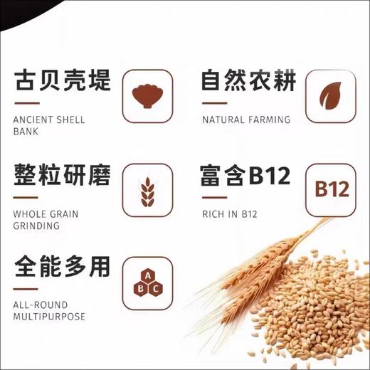 基地直发 | 有机黄金全麦粉830g/袋 | 石间 商品图3