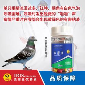 【衣原净】胶囊60粒，单眼伤风（爱丽丝）