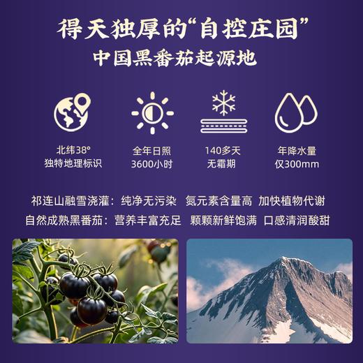 食味季.甘肃张掖黑番茄精粹饮.“六维天然营养库” 商品图1