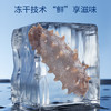 同仁堂子品牌总统牌 大连冻干海参速发辽参26g 16只海参礼盒补品干货 /粮油调味 /南北干货 /干海参 商品缩略图2