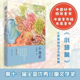 小翅膀 周晓枫作品 中国好书 年度童书