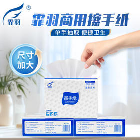 霏羽商用擦手纸1层200抽*20包加厚加大檫手纸抽取式吸油吸水纸巾CS017 /家庭清洁/纸品 /清洁纸品 /抽纸