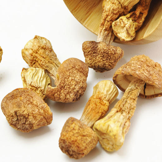 【清远帮扶】林中宝丨姬松茸  180g 商品图2